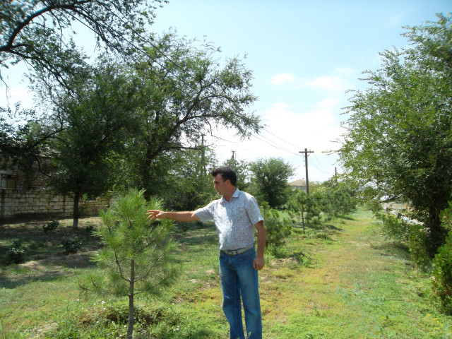 Андрей, Россия, Волгодонск. Фото на сайте ГдеПапа.Ру