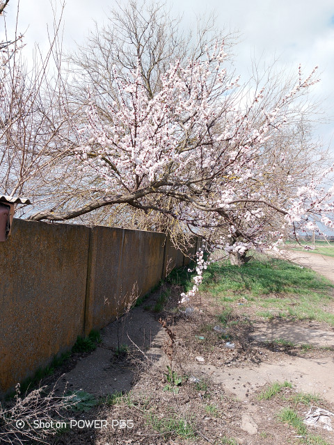 Сергей, Россия, Чебоксары. Фото на сайте ГдеПапа.Ру