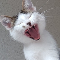 Юлия, Россия, Красноярск, 46 лет