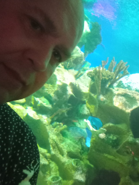 Вадим, Санкт-Петербург, м. Проспект Просвещения. Фото на сайте ГдеПапа.Ру