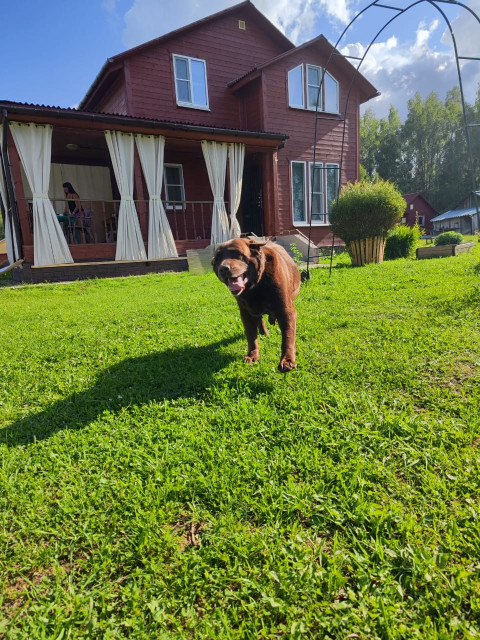 Александр  Владимирович, Москва, м. Митино. Фото на сайте ГдеПапа.Ру