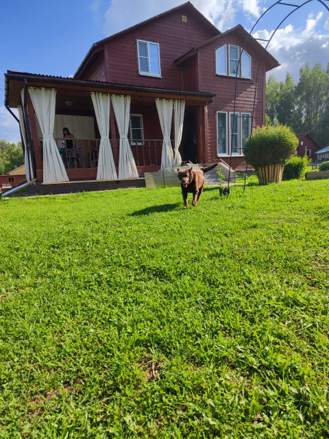 Александр  Владимирович, Москва, м. Митино. Фото на сайте ГдеПапа.Ру