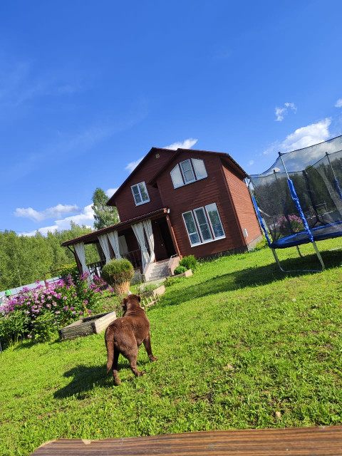 Александр  Владимирович, Москва, м. Митино. Фото на сайте ГдеПапа.Ру