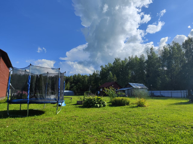 Александр  Владимирович, Москва, м. Митино. Фото на сайте ГдеПапа.Ру