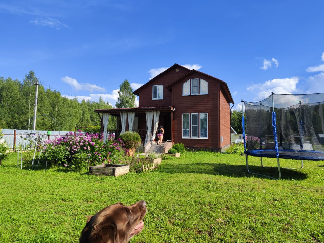 Александр  Владимирович, Москва, м. Митино. Фото на сайте ГдеПапа.Ру