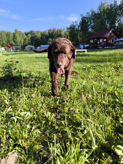 Александр  Владимирович, Москва, м. Митино. Фото на сайте ГдеПапа.Ру