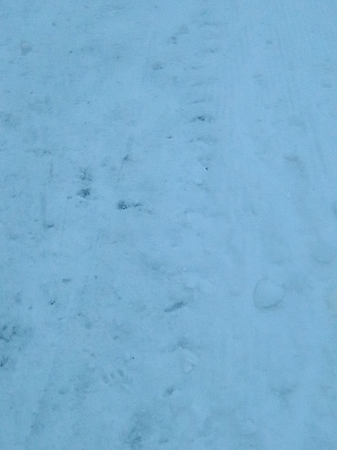 Сергей Петров, Россия, Рыбинск. Фото на сайте ГдеПапа.Ру