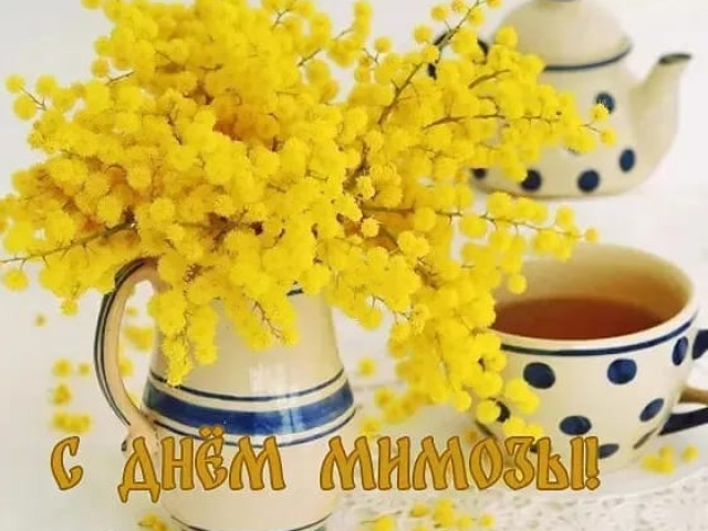 Nata Kudrina, Россия, Екатеринбург. Фото на сайте ГдеПапа.Ру