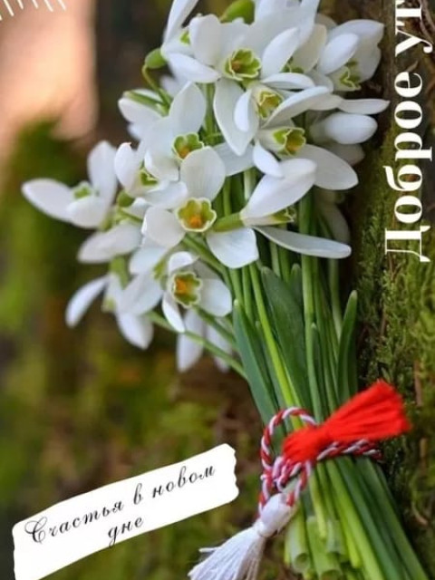 Nata Kudrina, Россия, Екатеринбург. Фото на сайте ГдеПапа.Ру