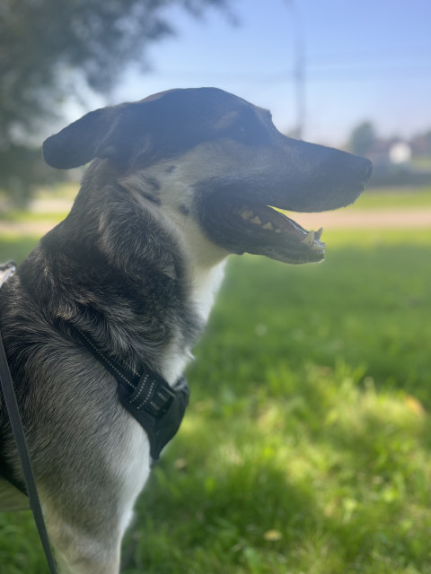 Максим, Россия, Москва. Фото на сайте ГдеПапа.Ру