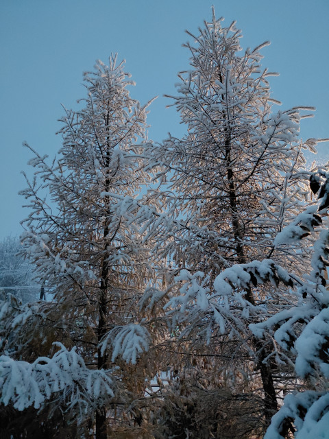 Чудесное сибирское утро!