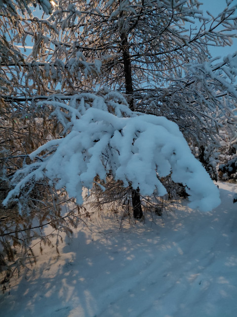 Татьяна, Россия, Новосибирск. Фото на сайте ГдеПапа.Ру