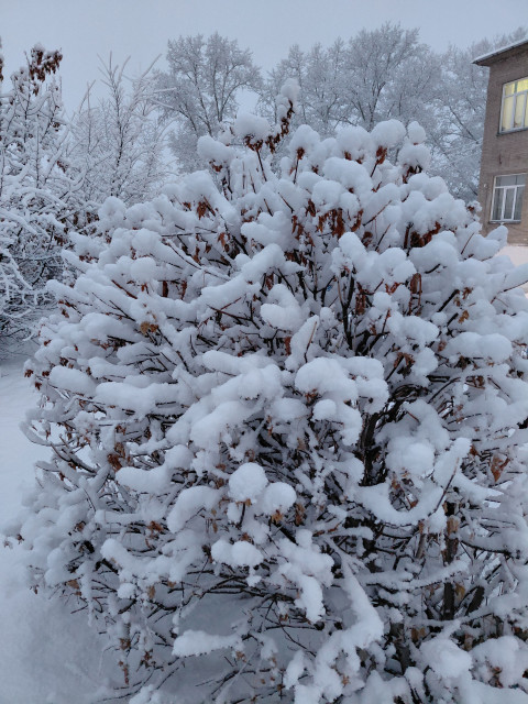 Татьяна, Россия, Новосибирск. Фото на сайте ГдеПапа.Ру