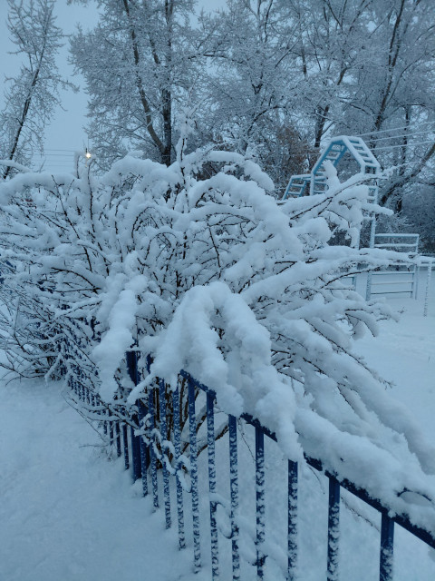 Татьяна, Россия, Новосибирск. Фото на сайте ГдеПапа.Ру