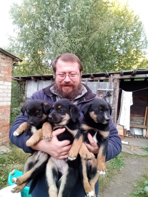 Ray Wirt, Россия, Ярославль. Фото на сайте ГдеПапа.Ру