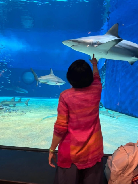 Нина, Россия, Санкт-Петербург. Фото на сайте ГдеПапа.Ру