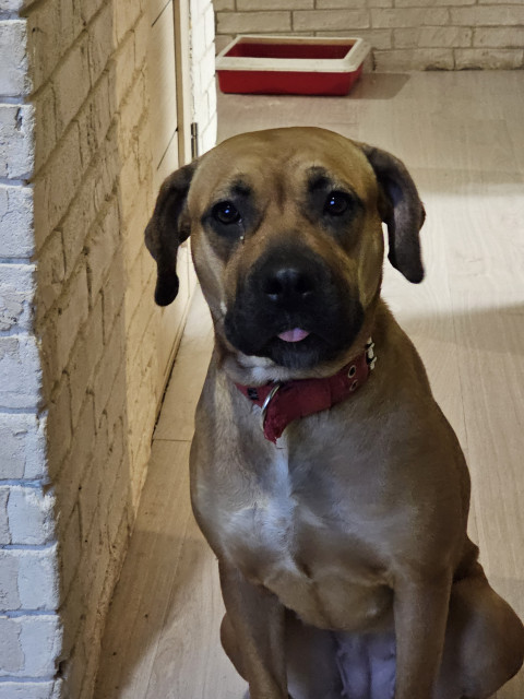 Роман, Россия, Москва. Фото на сайте ГдеПапа.Ру