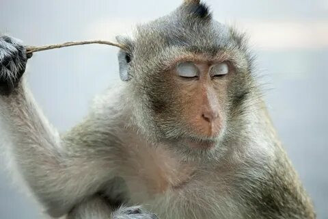 Дмитрий, Россия, Симферополь, 43 года. Ищу: Пока только общаюсь. Дальше будем посмотреть. Девушку с взаимной симпатией друг к другу.  Анкета 826454. 