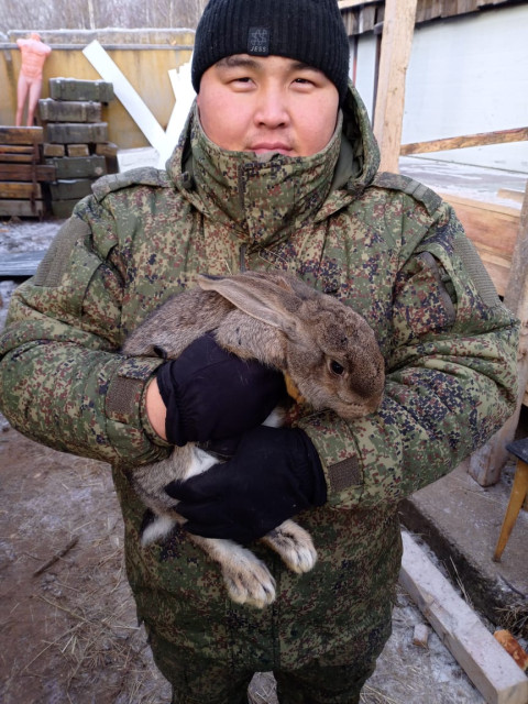 Владилен Марков, Россия, Шебалино, 24 года. Познакомлюсь для серьезных отношений.