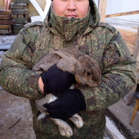 Владилен Марков, Россия, Шебалино, 24 года