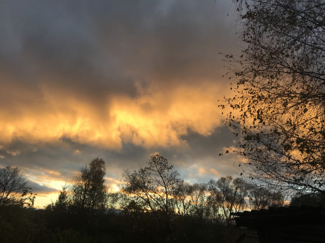 Подмосковье. Огненный закат. .