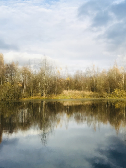 Озеро в Софрино.