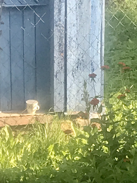 Помосковье. Деревенская тишина)