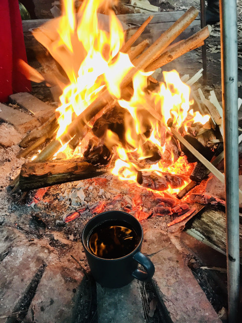 Ночной костер в лесу.)