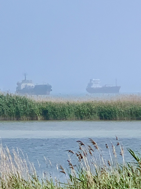 Корабли в тумане. Новороссийск. Любимое море)