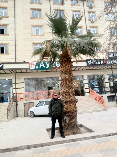 Александр Павлов, Россия, Домодедово. Фото на сайте ГдеПапа.Ру