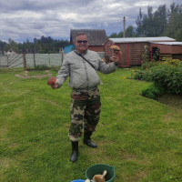 Николай, Россия, Санкт-Петербург, 63 года
