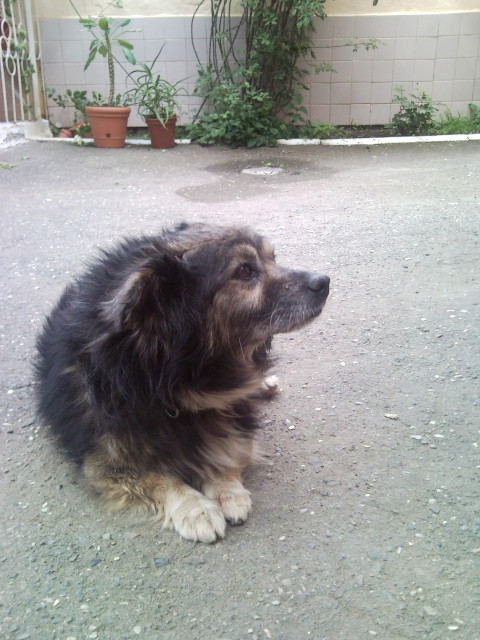 Руслан, Россия, Москва, 53 года. Он ищет её: Познакомлюсь с женщиной для любви и серьезных отношений, брака и создания семьи, дружбы и общения.свободный холостяк