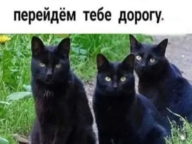 Ринат, Россия, Набережные Челны. Фото на сайте ГдеПапа.Ру