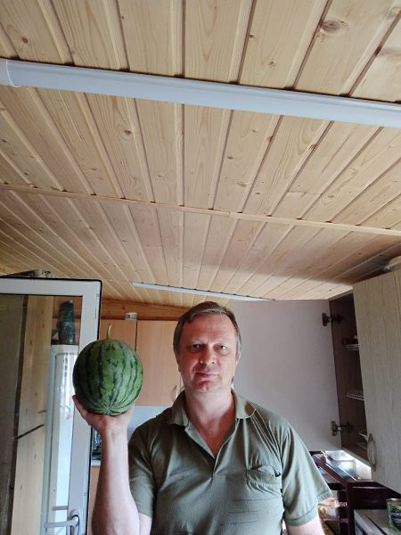 Алексей, Россия, Москва. Фото на сайте ГдеПапа.Ру