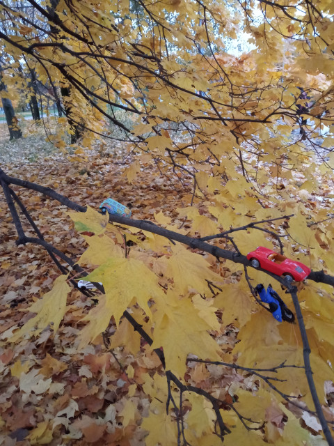 Ольга, Россия, Москва. Фото на сайте ГдеПапа.Ру