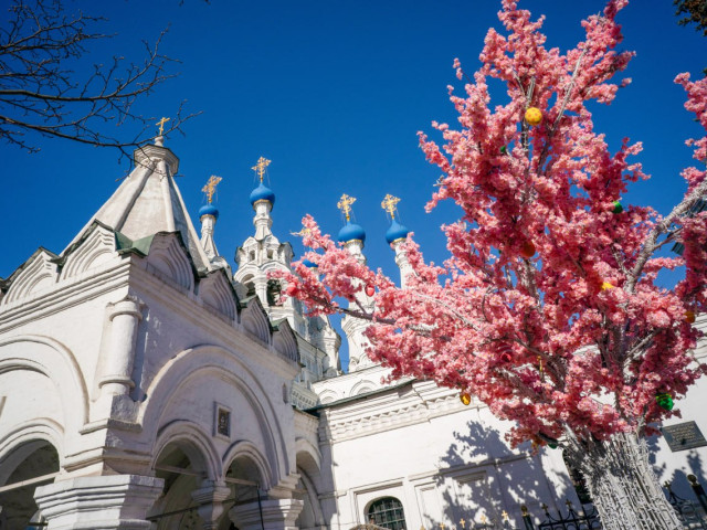 Павел Маренчук, Россия, Москва. Фото на сайте ГдеПапа.Ру