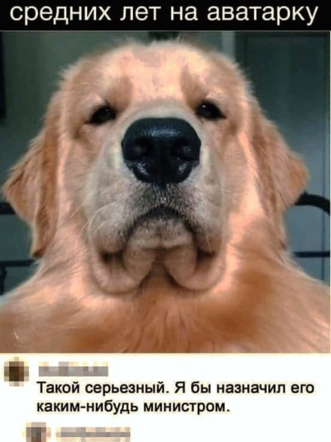 Павел Маренчук, Россия, Москва. Фото на сайте ГдеПапа.Ру