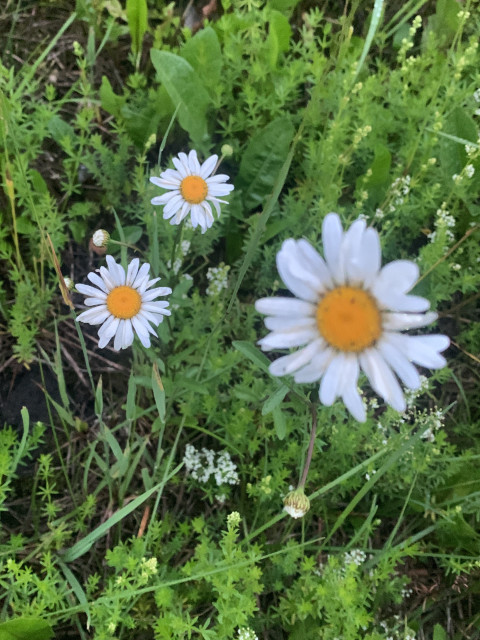 Григорий, Россия, Москва. Фото на сайте ГдеПапа.Ру