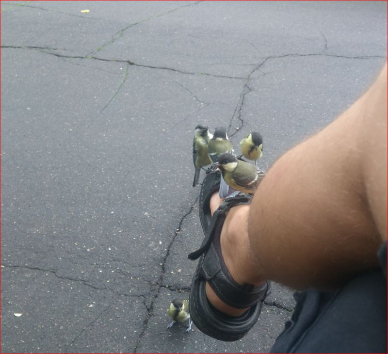 Нужен совет по фото в анкете