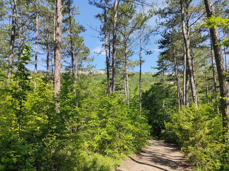 Тепе-Кермен