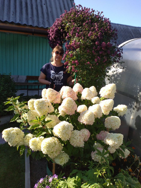 Людмила, Россия, Тюмень, 53 года, 3 ребенка. Познакомлюсь с интересным от 54 лет !! Для общения. Семья ( я и мои дети) уже есть.Февральский водолей. Посмотрите гороскоп, всё верно.