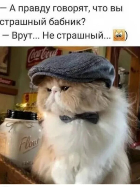 Вячеслав, Россия, Москва, 48 лет, 1 ребенок. Познакомлюсь с женщиной для любви и серьезных отношений, дружбы и общения.Отдамся в хорошие женские руки. В еде неприхотлив, налево отгулял, к туалету приучен, зарплату прино