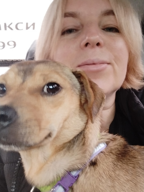 Людмила, Домодедово, 58 лет, 2 ребенка. Познакомлюсь с мужчиной для дружбы и общения. Хотелось бы встретить мужчину, свободного от отношений,...  Анкета 829979. 