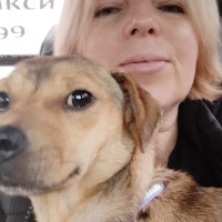 Людмила, Россия, Домодедово, 58 лет