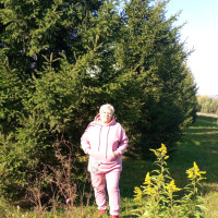 Ольга, Россия, Новосибирск, 66 лет