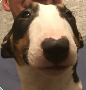 Света, Москва, м. Отрадное. Фото на сайте ГдеПапа.Ру