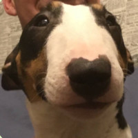 Света, Москва, м. Отрадное, 53 года