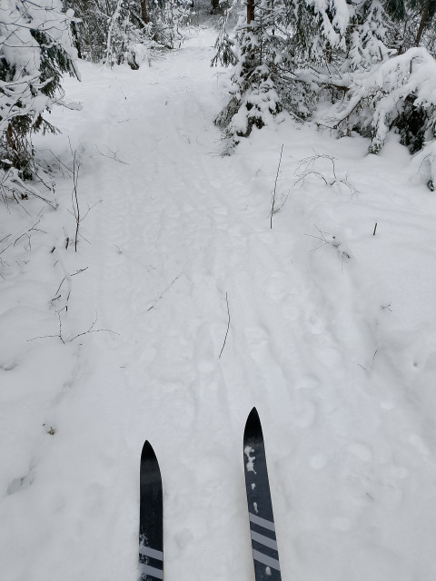 Андрей, Россия, Кимры. Фото на сайте ГдеПапа.Ру