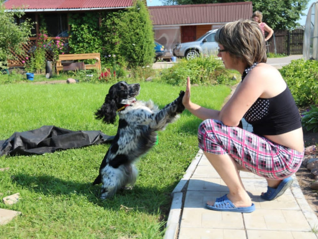 Анна, Санкт-Петербург, м. Ладожская. Фото на сайте ГдеПапа.Ру