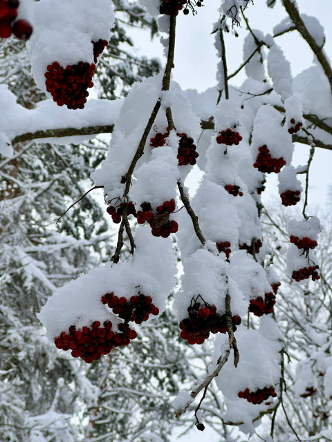 Ирина, Россия, Москва, 40 лет. Познакомлюсь с мужчиной для любви и серьезных отношений. Анкета 832719. 